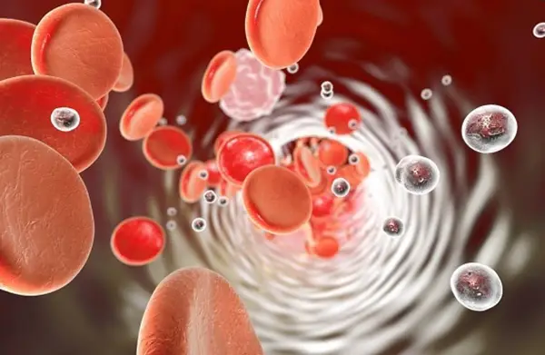 Aufnahme der Nährstoffe direkt in die Zelle Bild einer schematischen Darstellung, wie Nährstoffe in Nanogröße direkt in z. B. Blutzellen aufgenommen werden können.